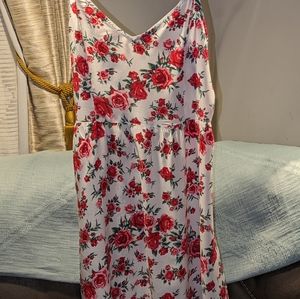Divided Dress Size 12